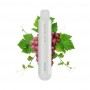 Saltica Pearl Grapes 600 Disposable Vape Pen 20 mg
