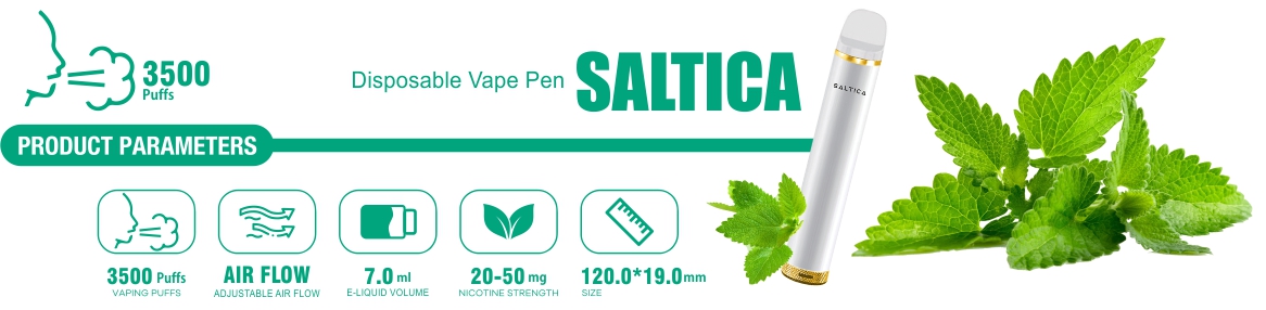 Saltica Fresh Mint Disposable Vape Pen Açıklama